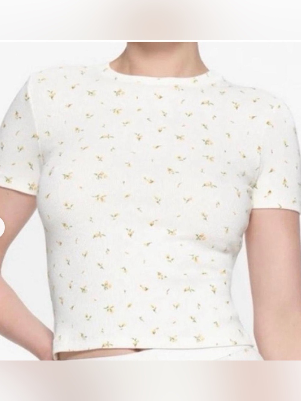 SKIMS // Cotton Rib Short Sleeve T-Shirt Ivory Ditsy Floral 3X